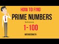 Prime Numbers and Their Identification