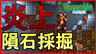 【テラリア】隕石が降ってきた！ ひさしぶりの地上探索回！ #8