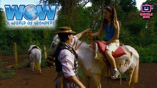 The Amazon Rainforest | A World of Wonders (11-Minute Explorational Learning for Kids!)