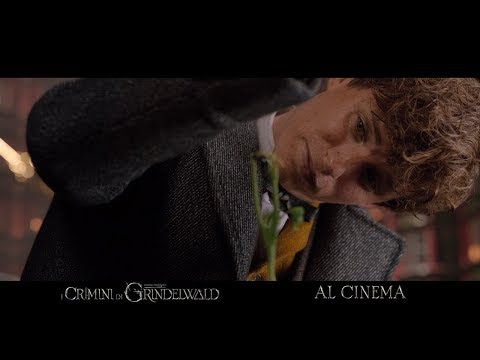 Animali Fantastici: I Crimini di Grindelwald Animali Fantastici: I Crimini di Grindelwald