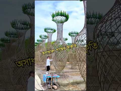 গাছ দিয়েই বানানো হয়েছে ফুলদানির মতো ভাস্কর্য! দেখলে চোখ ধাঁধিয়ে যাবে! 🌿😱 #shorts #TreeShaping