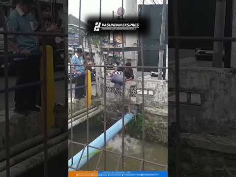 Seorang pria menebarkan ikan lele ke selokan Mataram #viral #viralvideo #shorts #viralvideos