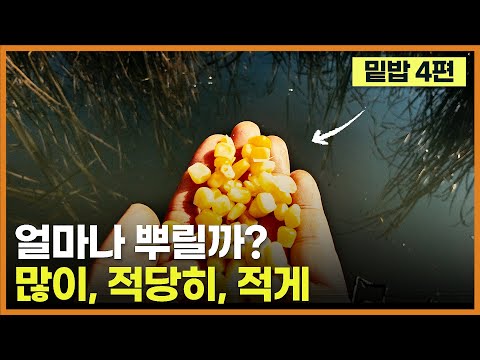 얼마나 뿌려야 할까?? -  많이 / 적당히 / 적게 (밑밥 낚시 4편)