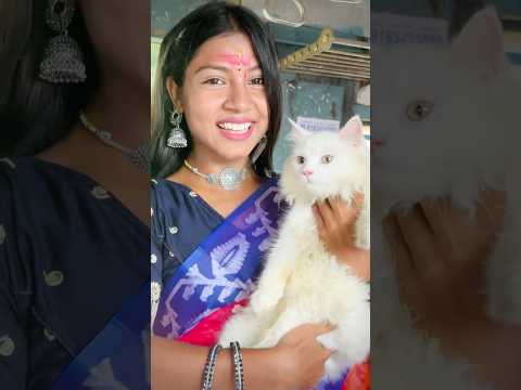 হঠাৎ ট্রেনে বিড়ালের ডাক শুনতে পেলাম🥹 #village #minivlog #shortvideo #viralvideo #bengali #video