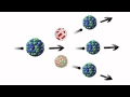 Nuclear Fission Concepts and Applications