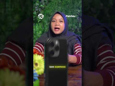 Alba Asal Kalimantan, Satu-satunya Orang Utan Albino di Dunia #shorts