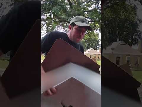 The box had one job... and chose to retire the moment this neighbor opened his front door 😂