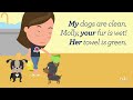 Subject Pronouns and Possessive Adjectives