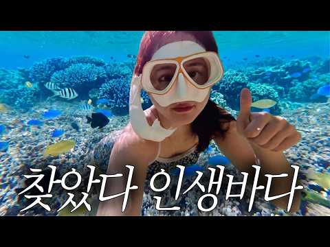 <strong>한국에서</strong> 2시간 거리인데 이 정도라고..?!