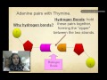DNA Structure and Function Concepts