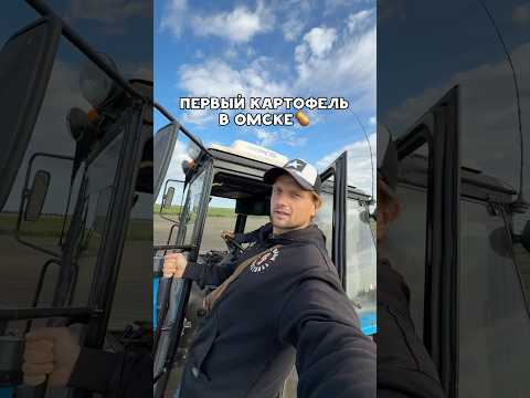 По чём у Вас сейчас картофель? #сельскоехозяйство #картофель