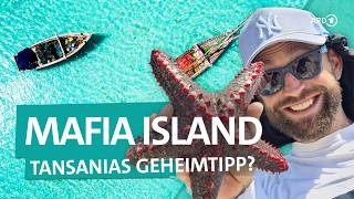 Mafia Island: Tansanias bestgehütetes Geheimnis | ARD Reisen