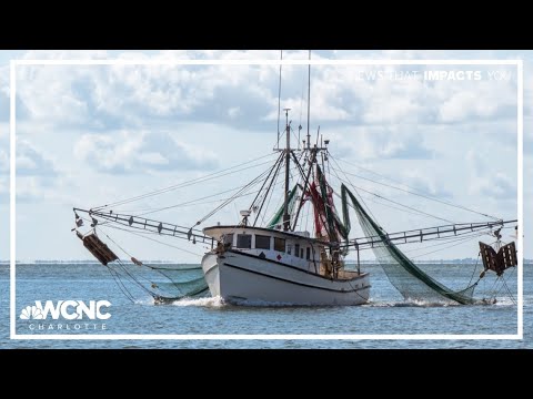 YouTube video thumbnail: New Bill to Protect Waterways Would 'Destroy' Shrimp Industry in North Carolina, Critics Warn
