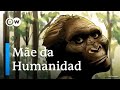Elementos e Temas do Vídeo