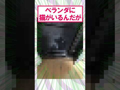 【2ch面白いスレ】どうしよう…ベランダに猫がいるwww#2ch #2ch面白いスレ