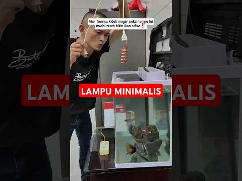 🛒LINK di deskripsi #aquarium #aquariumhobby #aquascape #lampuled #aquariumfish #shorts #semuaorang