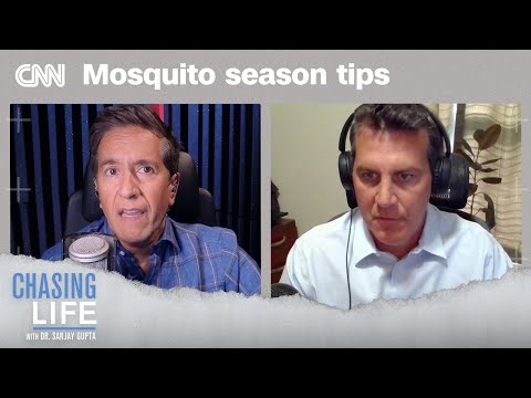 How to avoid mosquito bites and the diseases they carry | Chasing Life