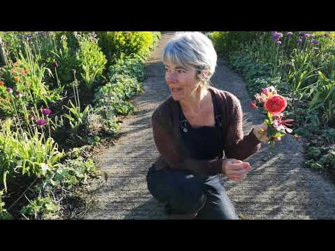 Flower Crown for Garden Day 2020