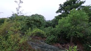 Climbing Disney’s Abandoned Aviary “The Avian Way”
