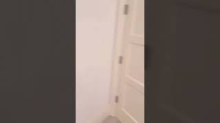 for your viewing pleasure #shorts #sophierain