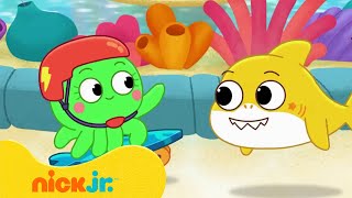 בייבי שארק: הלו"ז מתמלא | ניק ג'וניור