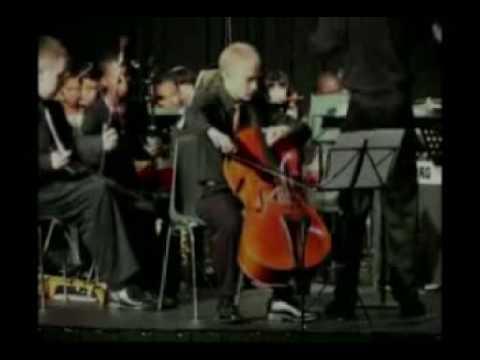 大提琴協奏--燕子part 2 Cello concerto- Swallows-part 2. fsocm mp4