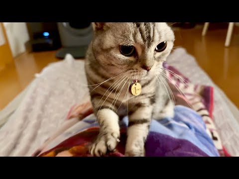季節の変わり目を満喫！ふみふみさんのおすすめアドバイス サムネイル