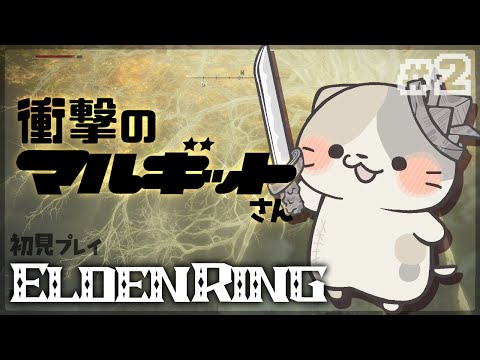 thumbnail_zKf0y4mdMR0