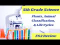 Animal Classification and Life Cycles