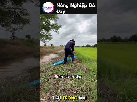 Máy Bơm Nước Kiểu Thái,Gọn Nhẹ Dễ Sử Dụng #nongdan #shortvideo #nongnghiep #farming