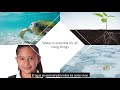 Exploring the Importance of the Water Cycle