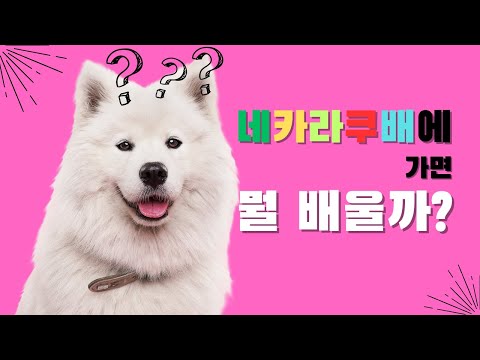 대기업에 들어가서 "이걸" 배웠습니다