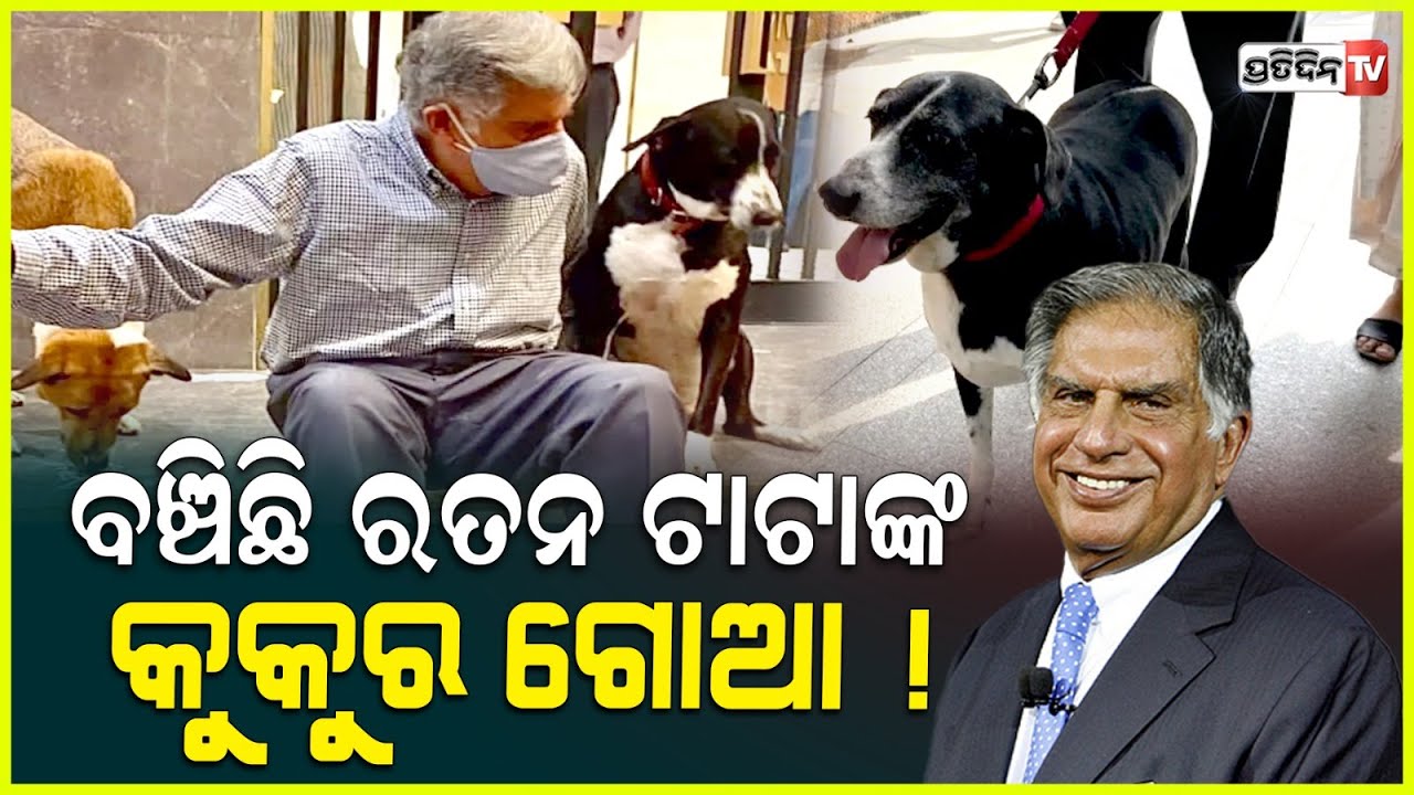 ବଞ୍ଚିଛି ରତନ ଟାଟାଙ୍କ ପୋଷା କୁକୁର ଗୋଆ ! Ratan Tata’s dog Goa is not dead, Shantanu Naidu confirms.