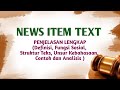 Understanding News Item Text