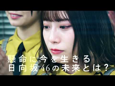 日向坂46ドキュメンタリー映画特報