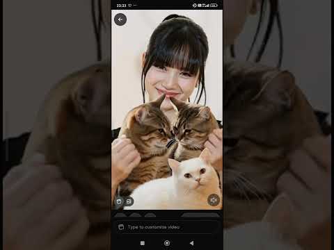 lisa and cats #fat #cats #viral #fypシ゚viral #kpop #blackpink #lalisa #cute #hitsong #viralvideos