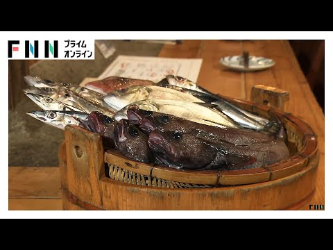 魚離れのなか未利用魚が消費拡大　漁師から直接購入できるアプリも　専門家「タンパク源として食べた方がいい」
