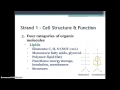 Cell Structure and Function Review