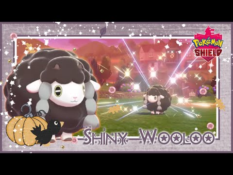 (Galar Quest #1} LIVE ON STREAM!! Shiny Wooloo after 8342 REs on Pokemon Shield!