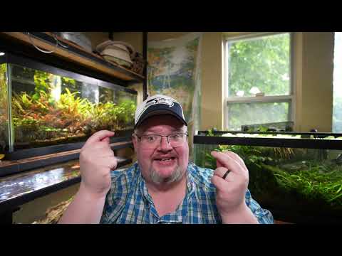 Replacing Filters The Smart Way - No Risk To Your  New gear for your fish tank seems to come out every month, but let's say you need to change out your