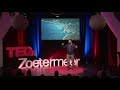 Ocean Conservation and Individual Responsibility