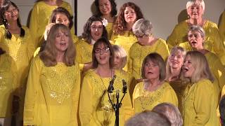 LA South Towns Nov 2019 concert