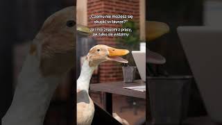 "Czemu nie możesz się skupić w biurze?"