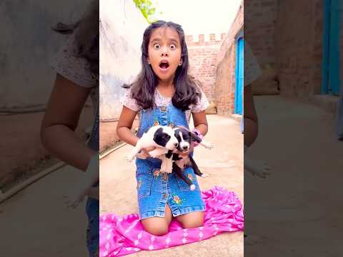Amaira ne puppies ko bacha liya #Amaira gurjar #fbshorts
