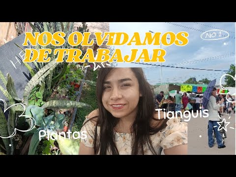 ENAMORADA DE NUSTROS FIN DE SEMANA ( TODO LO QUE HACEMOS MI ESPOSO MI NIÑO Y YO