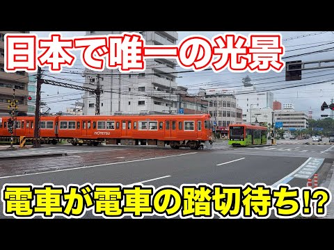 【電車が電車の踏切待ち⁉︎】日本で唯一の光景を見に行ってきた