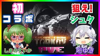 【Escape from Tarkov/PvE/コラボ】ボスだって倒しちゃうんですっ！！　with.哘ゆき【Vtuber】