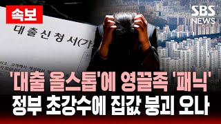 🔴속보 | ‘대출 올스톱’에 영끌족 ‘패닉’ 정부 초강수에 집값 붕괴 오나 | SBS 실시간 LIVE