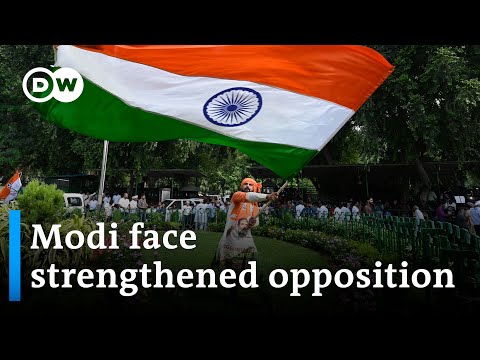 Was opposition leader Gandhi’s defamation case politically motivated? | DW News