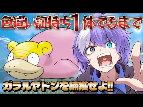 thumbnail_zLwcj-x2Uf8